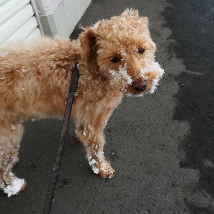 148b4b97 fddd 4ec2 b3b8 e7717c8eb545 1553302438882