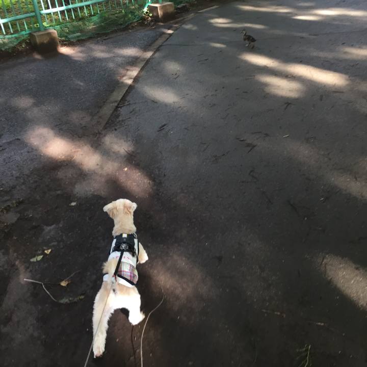 148b5549 cfec 4642 9440 96d1080a43b2 1565767662805