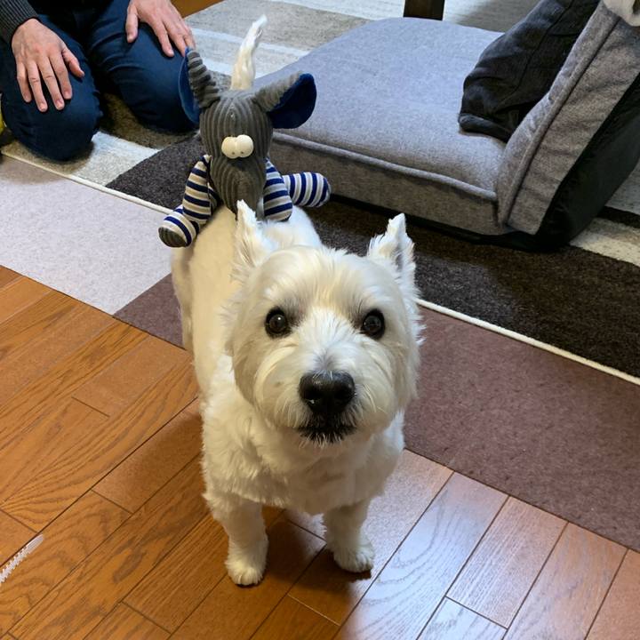 148b9396 b18a 4503 9a15 dc2079374c16 1587042704252