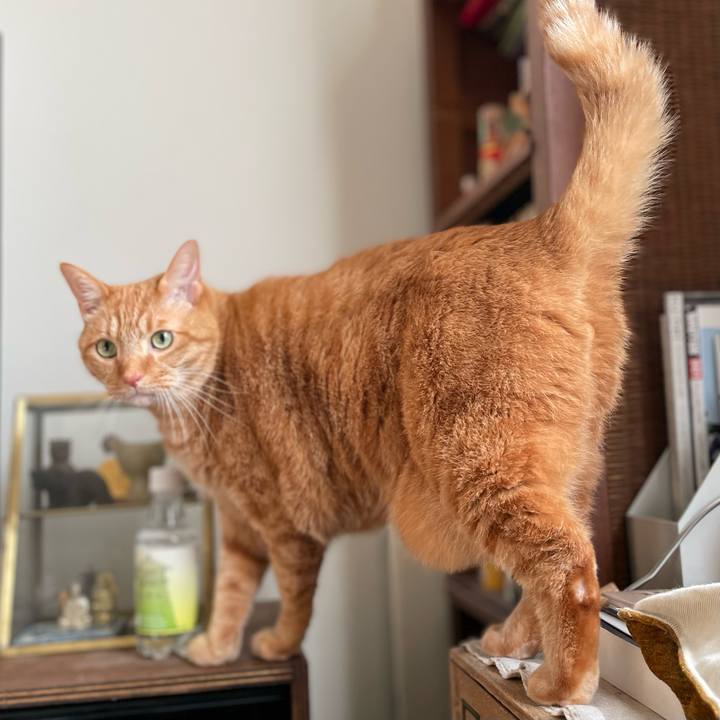 148bdc41 bcb1 47d6 81fa d95d04496cab 1672915231009