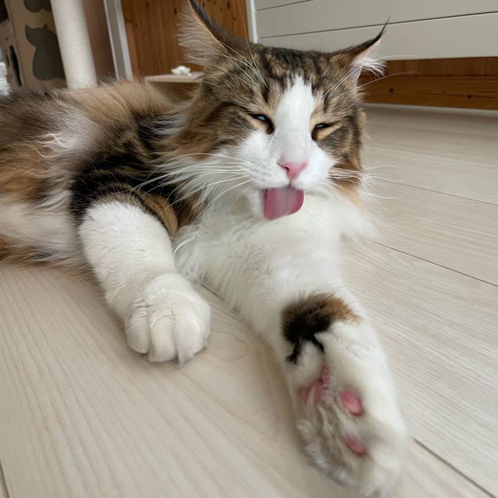 148bea97 e7c3 4cc6 87ca f9a136f4e09e 1655201272764