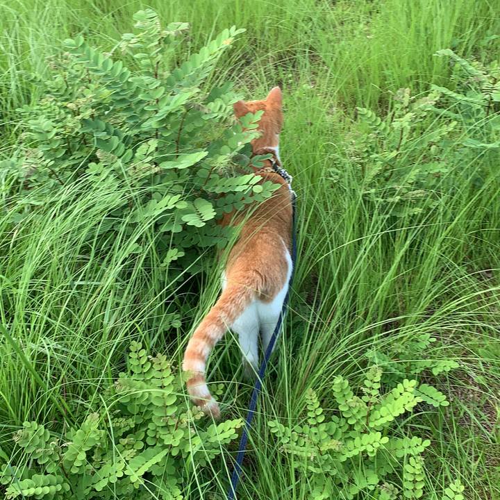 148c0348 8144 416d b04a 480d5d18c95e 1596184943888