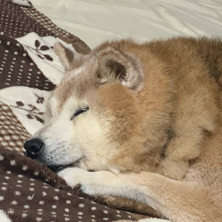 148c101c 0857 446d 8e42 0cc3432d4f4a 1689692677861