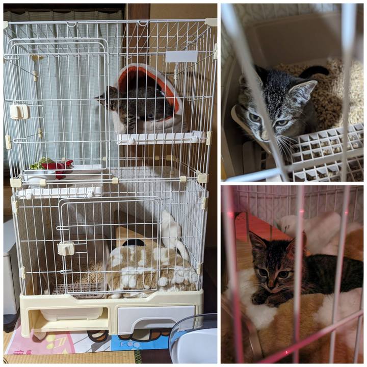 148c1db0 7497 43f3 91a8 80cba3d597ed 1698678540559