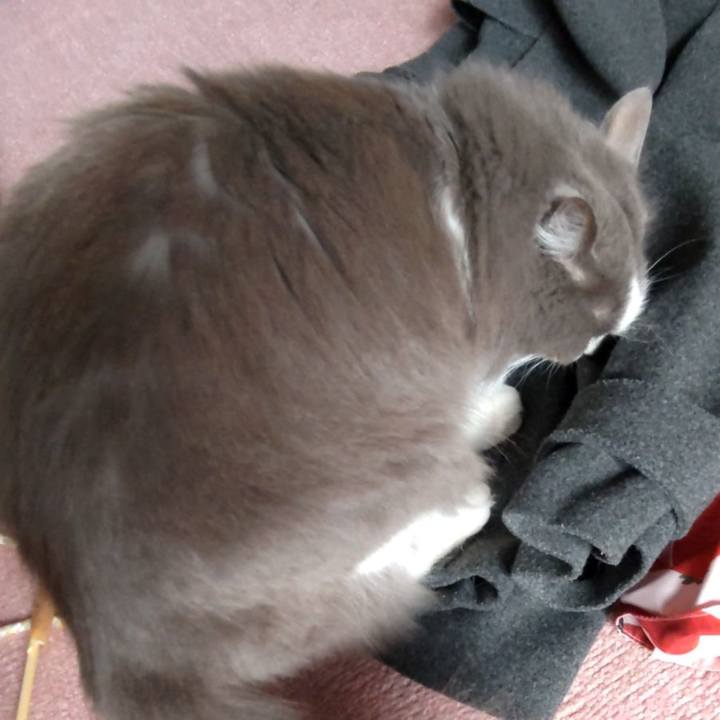 148c4820 cfc4 40ae 873e 59d6ca4080af 1710927891636