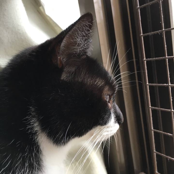 148c7c66 325b 4987 aac7 29d77dab6df0 1508725100713