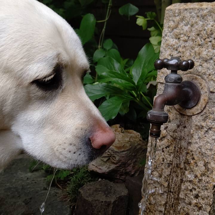 148c88cd 8acd 4e83 a439 c417968c276f 1589424290175