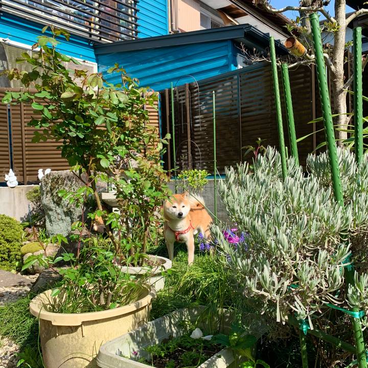 148c89ae 1654 41c0 bc94 258920e7996d 1619180997106