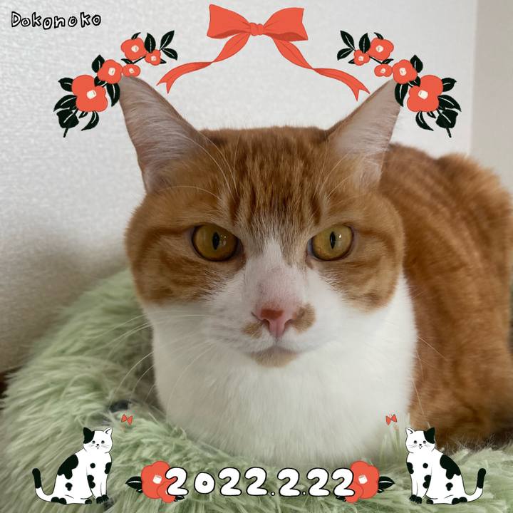 148ca732 41a7 49e0 b9c6 1f76a30868d3 1645494809882