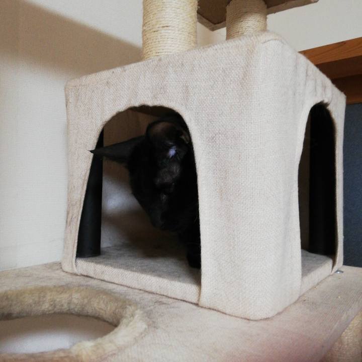 148ca902 fb7e 4550 9e14 6bc88b0729c4 1636927057053