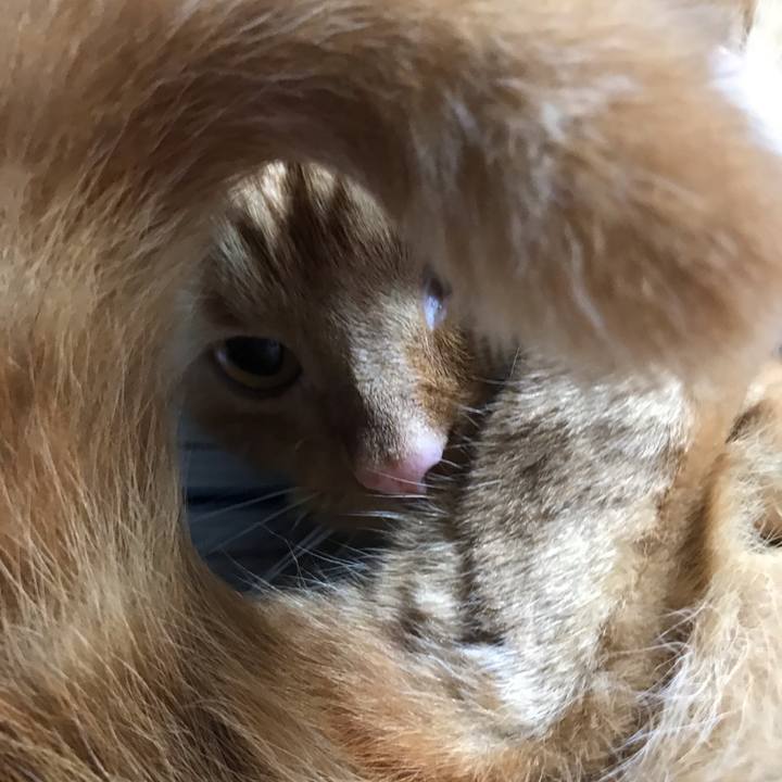 148cabc7 12df 48a6 832d bdf9be856c7e 1564321862713