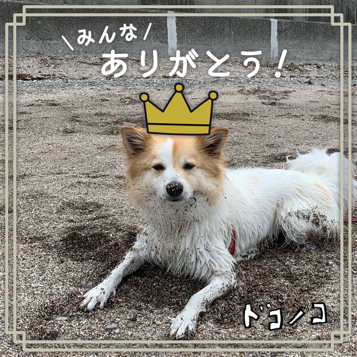 148cc6cb 5d84 468d b7ec d034462c787f 1623140502611