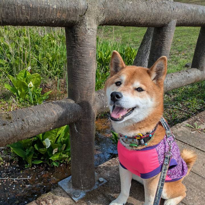 148ce151 f26b 41d5 87c3 3c90bdd97b6b 1745407246009