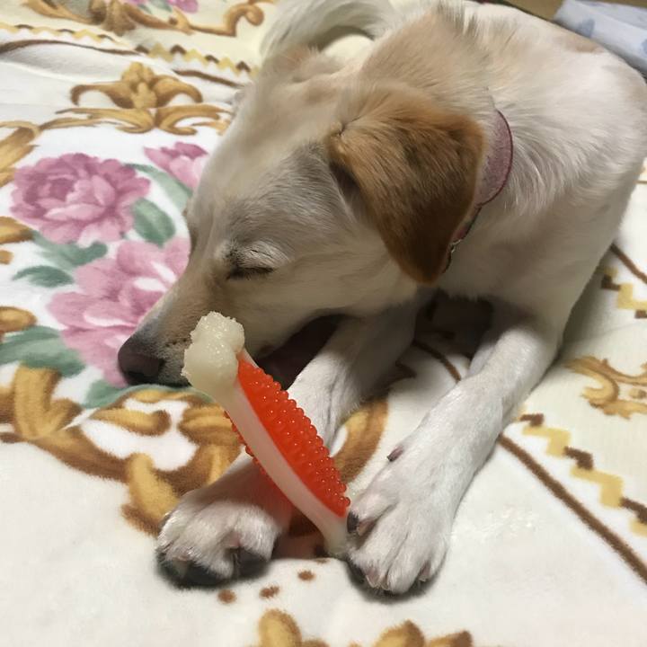 148d02c1 1d21 4d8a a3ac 5d32bc2421a8 1525609103626