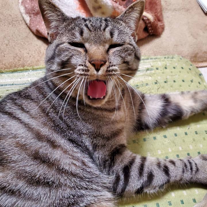 148d0b66 faaa 4cd7 86a1 8a42af491402 1713853779465