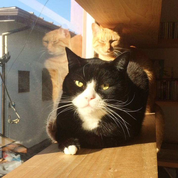 148d1cc3 7fb2 4b92 b7da c440719a56b0 1515626116155