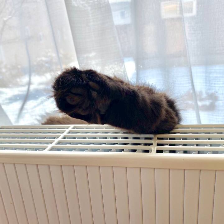 148d36a8 c05e 43fe 8e8c f18a4863e86a 1575469245986