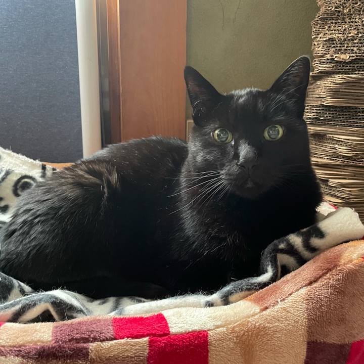 148d3c2c 7558 4f79 884e a912940bb773 1619228244914