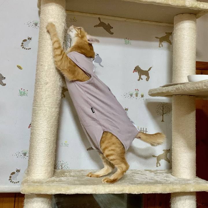 148d45ab c18c 404e a4cd 6544b27e0dbd 1634473289754