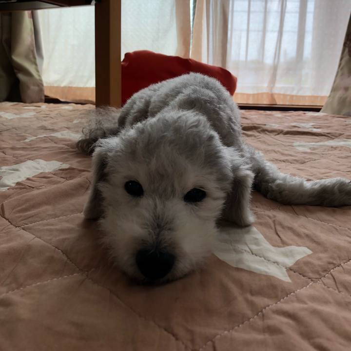 148d6c02 5690 44de 8764 69d0ce0e5e48 1590380643699