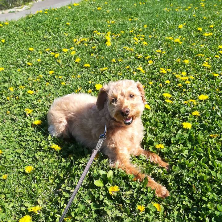 148d801c d25d 4992 a2cc 39fb6153c55b 1557557582006