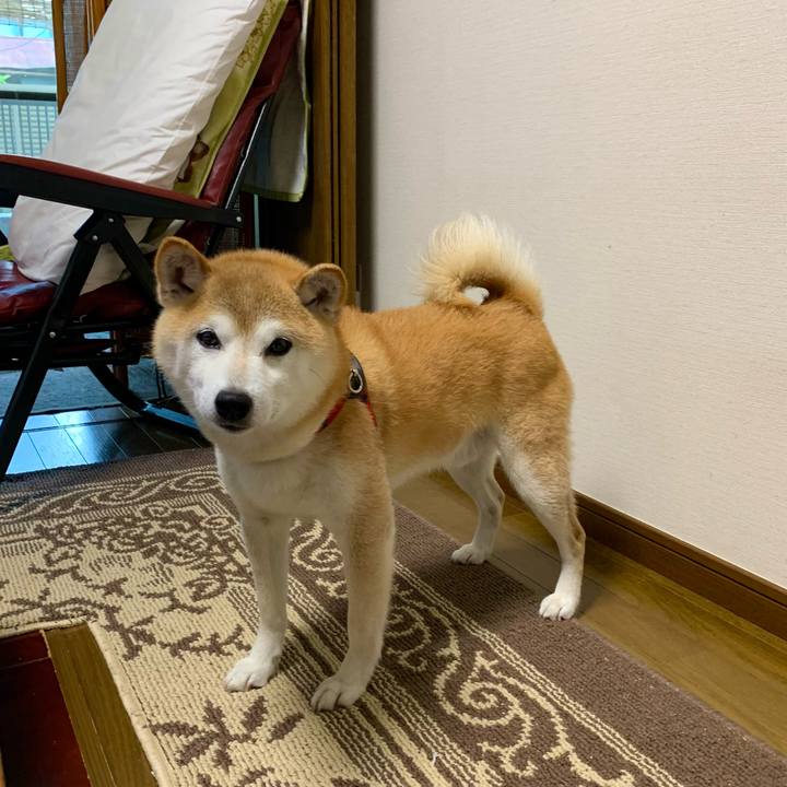 148d8143 bd42 4c55 8ff5 d70686fc6f5b 1690200925256