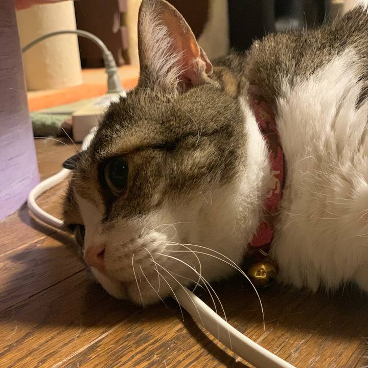 148de8a8 1ffb 45c5 ad26 e98ce79c9a0a 1685491594319