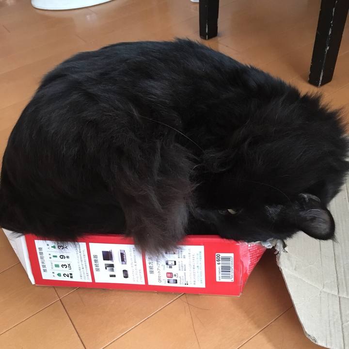 148e01a5 47ec 45fb 95c6 9f2678b5a32b 1543535360029