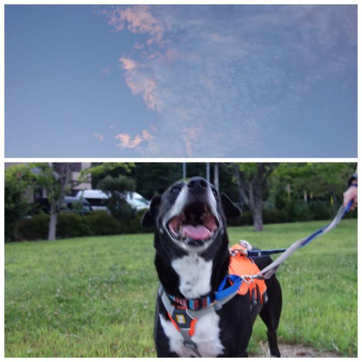 148e06f9 d756 4b51 ad93 50e298f6a329 1753440559609