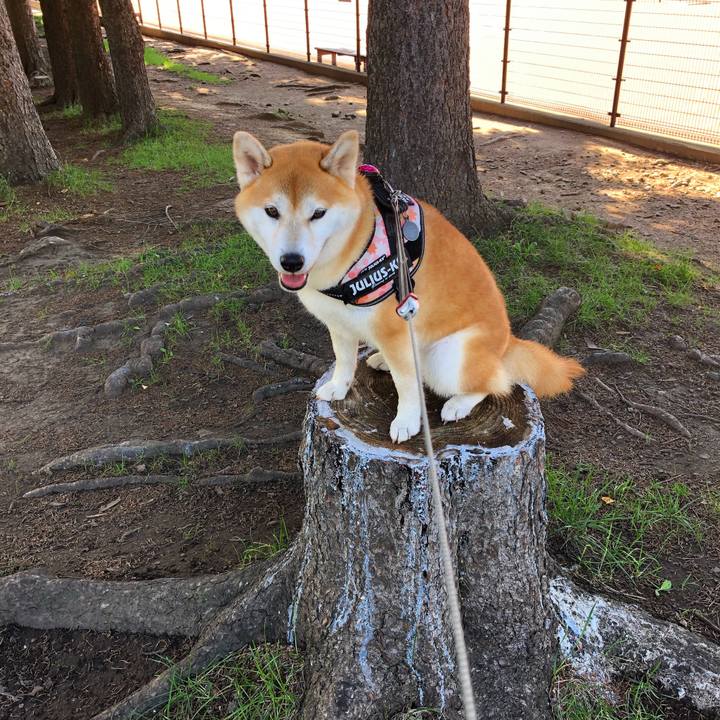 148e0fbd 9e08 410c 9cd4 6573e0caae0a 1567471576872