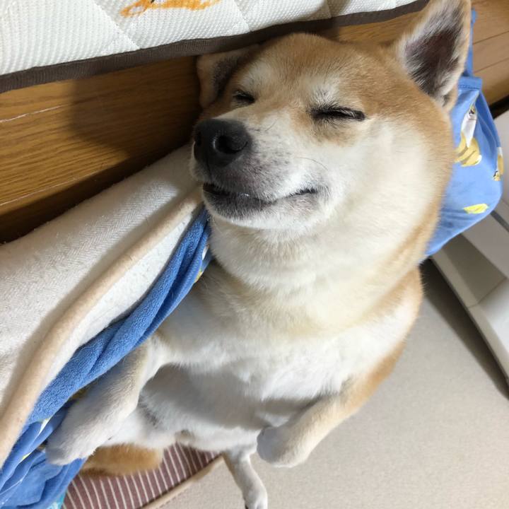 148e16d7 721c 40d0 8f44 113fc3cac3fa 1566716880105