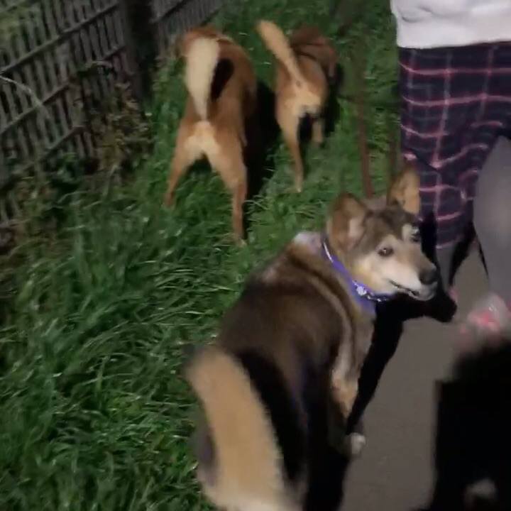 148e4a1e 520a 4ed7 97c1 40d0c3f3e2de 1553168393498