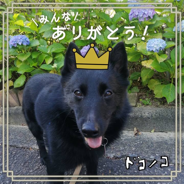 148e5a81 371e 40f7 ae8b 82618033d660 1622897286618