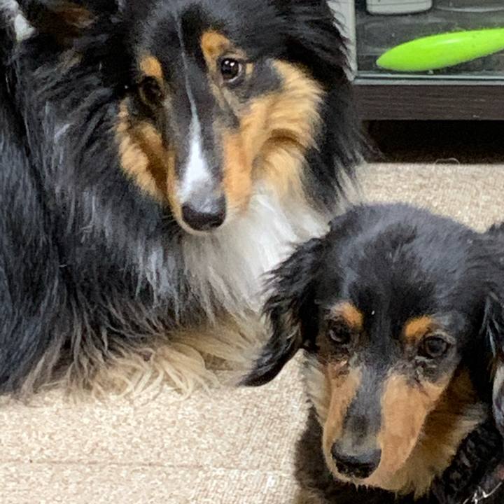 148e61b2 b519 4665 b6cc 911d2f5b3979 1589492302897