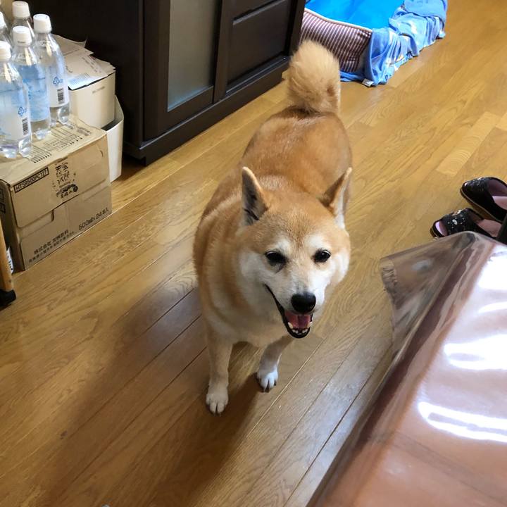 148e7dba e909 4add 957f 5112068dfbf5 1593045835315