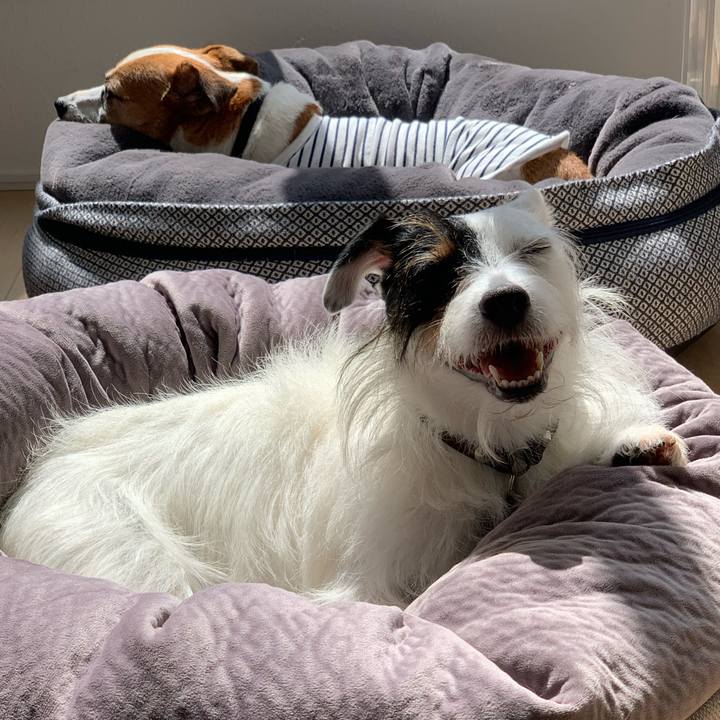 148e88ce d119 4389 9b3f c98c3636cd28 1601692441238