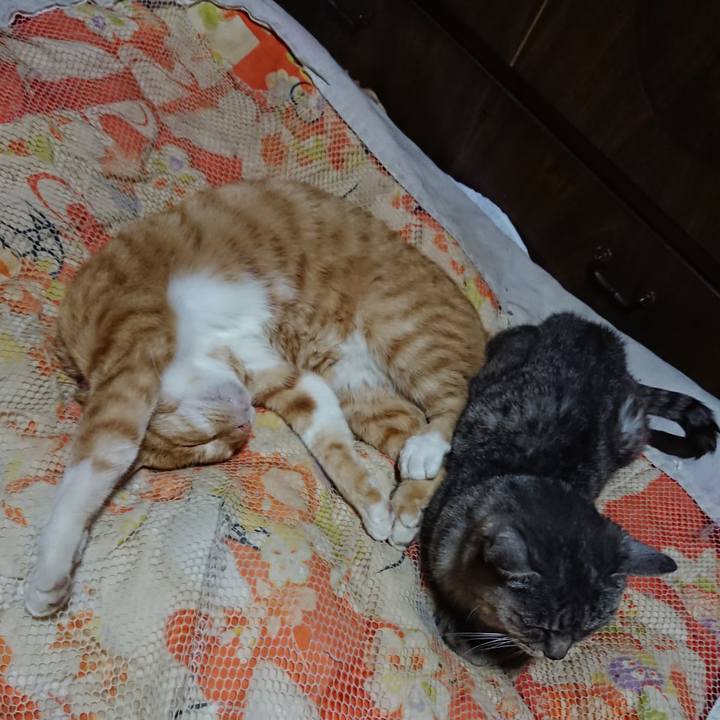 148eb2ce a908 4a84 838a c36b303cf001 1571492563669