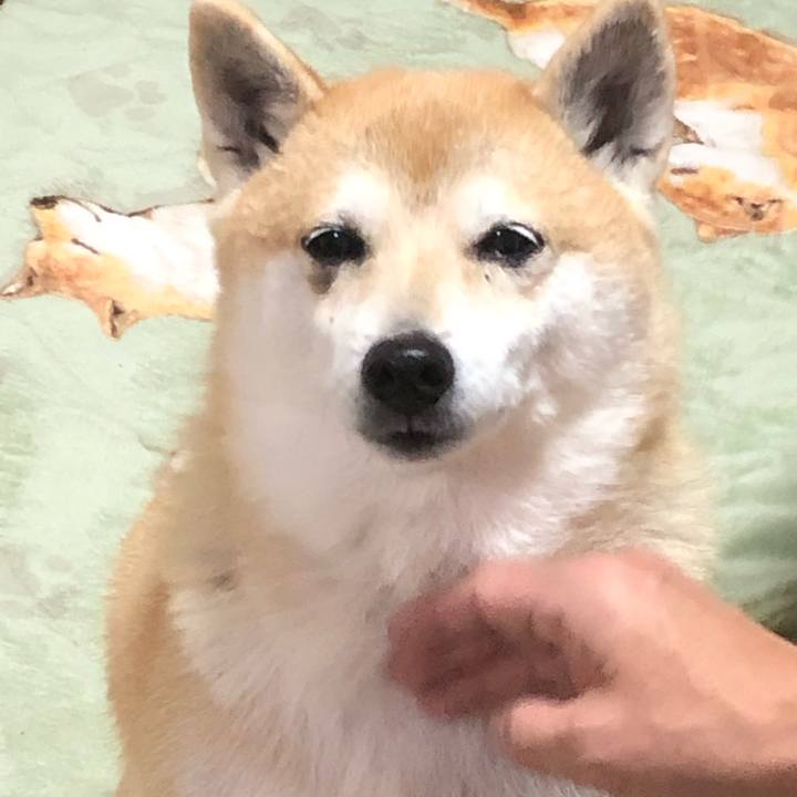 148f2a59 bb87 45c9 ba40 6ab140d74c4e 1576929495634