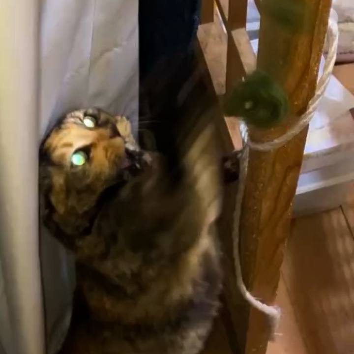 148f3660 8516 4b0d a556 d48f8b47dbb1 1738185034937