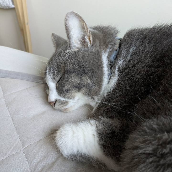 148f8d3b 3ed8 446c 83dc 1be07c62e570 1752881114591