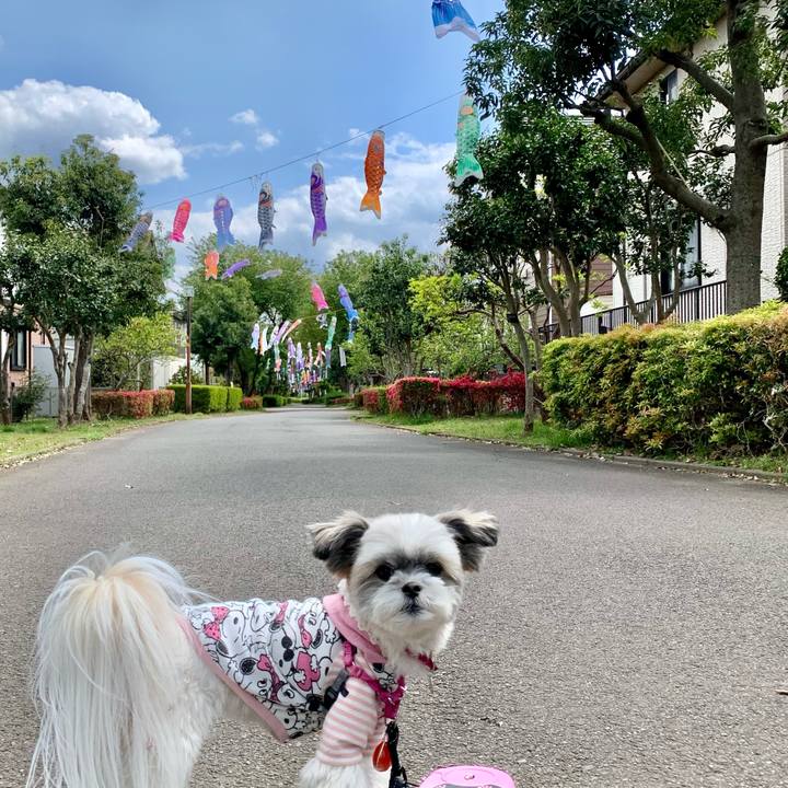 148fa2ee 0ed0 47d9 9f6a 84d2cb593675 1618212858529