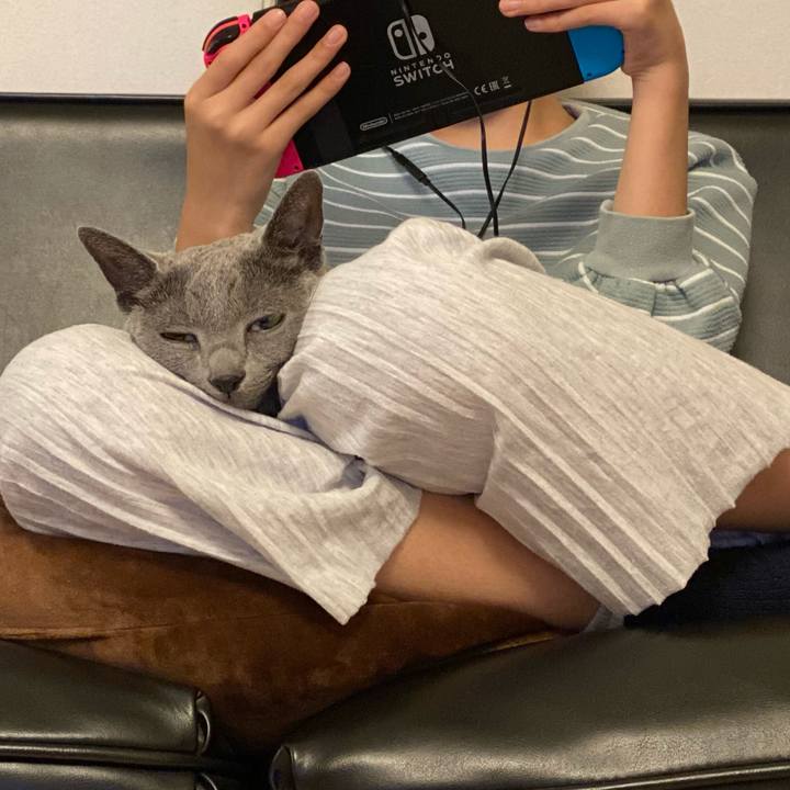 148fad2d b6a3 4fd6 980a 0ee37cb57a1e 1604498871248