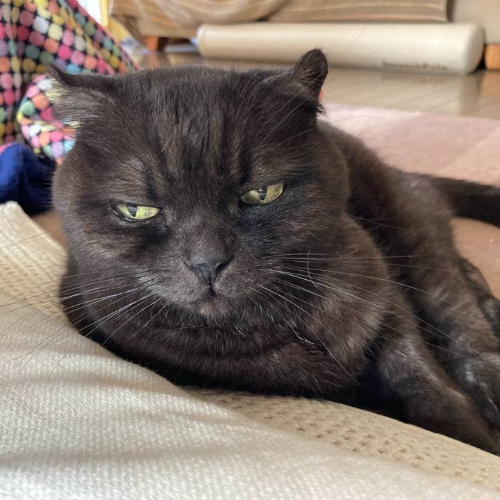 148fb6bd 7e2a 414a 9594 cd815e57d87b 1611621723056