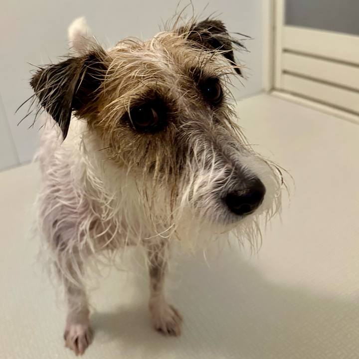 148fc01e 6dc8 49bd a941 d3b6fe25cb84 1703882196712