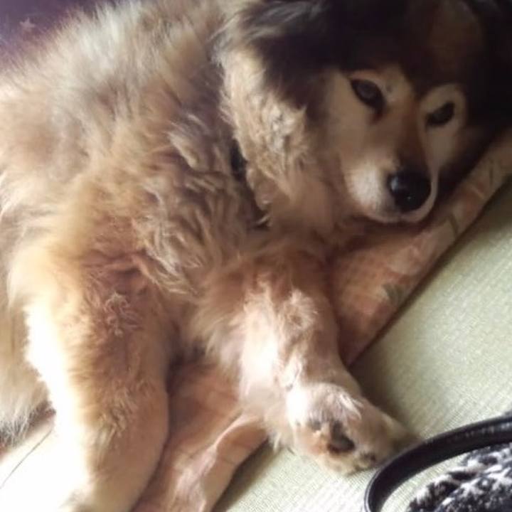 148feeaf 1dc6 4107 833a 95928ea39b27 1646401617797