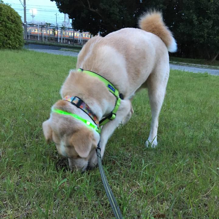 148ffbd3 668d 4627 9bdf b28911acdd86 1526390098529