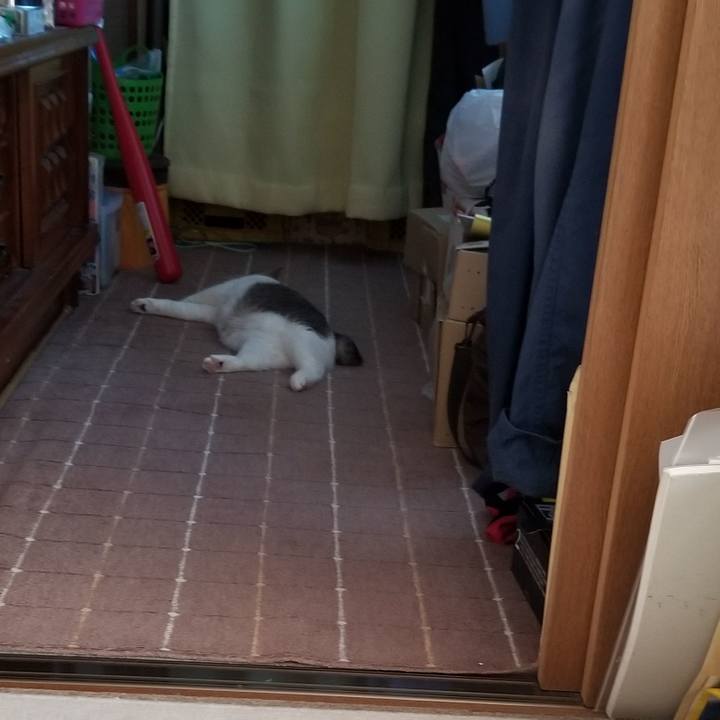 1490017b 7495 4a43 87ca d49e7414ab38 1692250294278