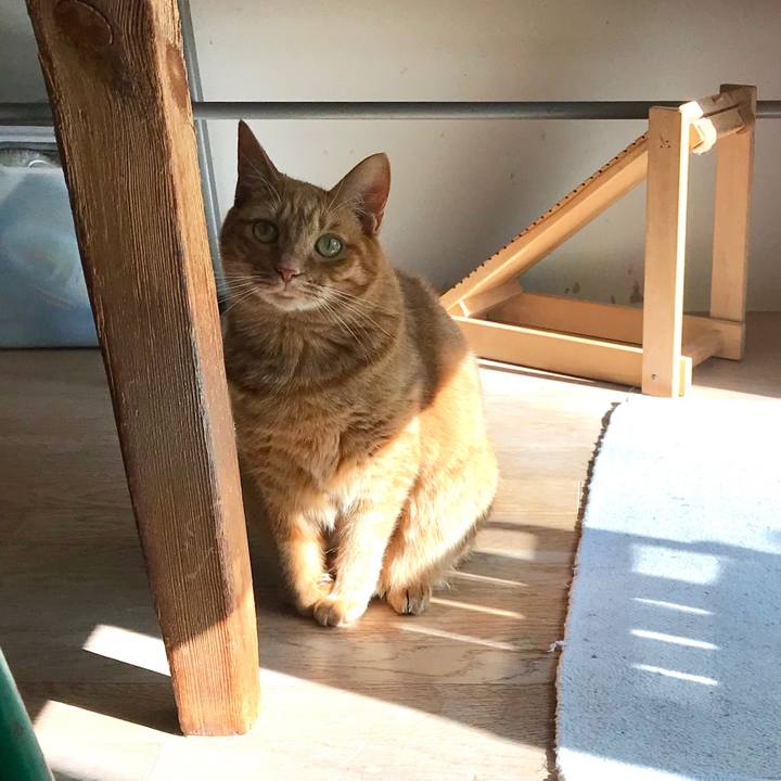 1490410c b4e7 4ef7 8e89 5571921b1adc 1513138167545