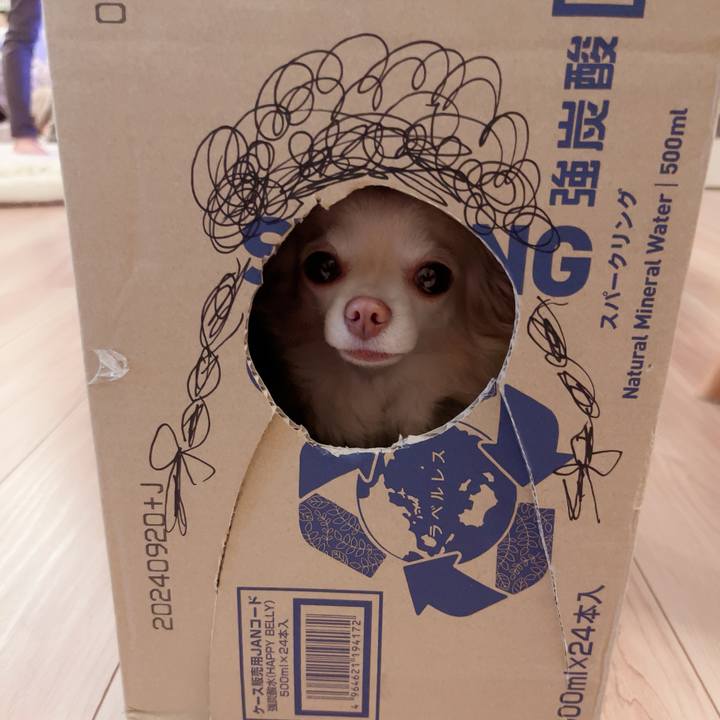 14904286 38f1 4e03 ba8f a2f0d7a27d36 1718543289077