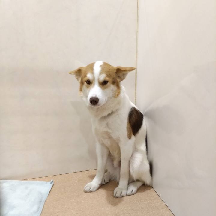 149048f1 f58a 4c46 8f9d 3bdd8933cf51 1553952135404